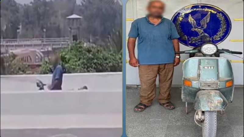 المتهم
