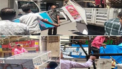 حملة مكبرة لإعادة الانضباط بكفر الدوار.. إزالة 263 حالة إشغال طريق والتحفظ على المضبوطات واتخاذ الإجراءات القانونية