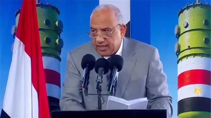 وزير الكهرباء 