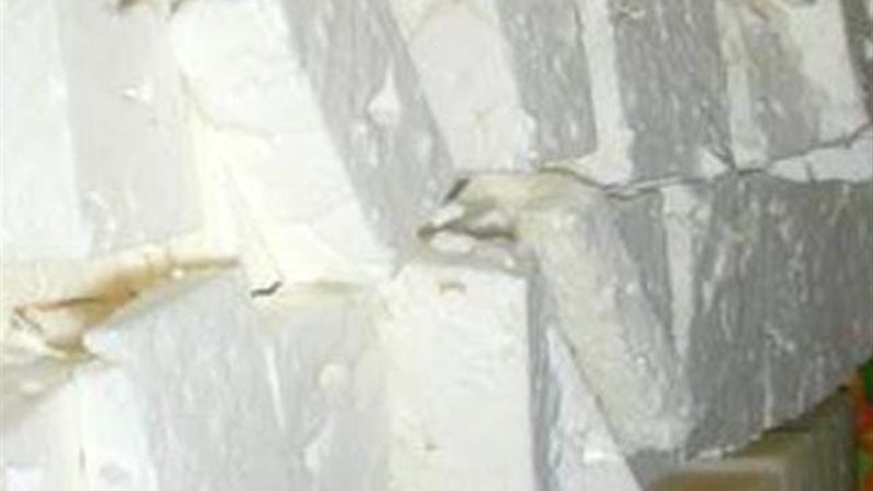 جبن فاسدة 