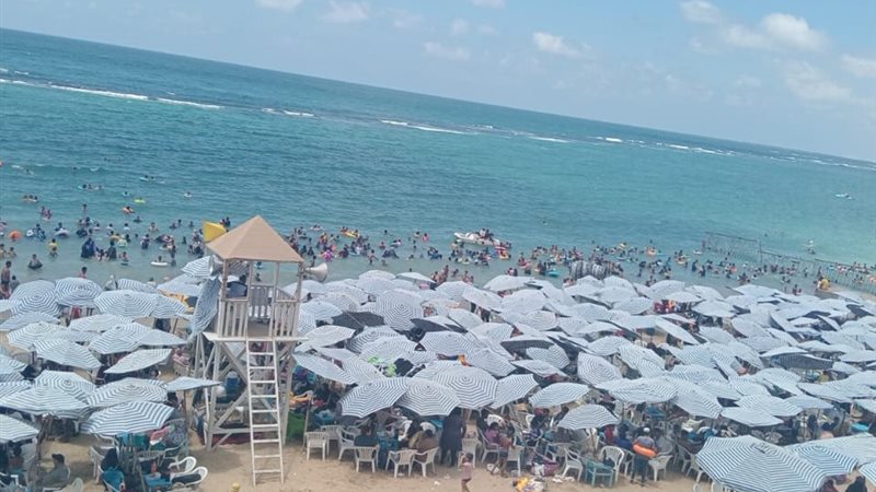 الاسكندريه 