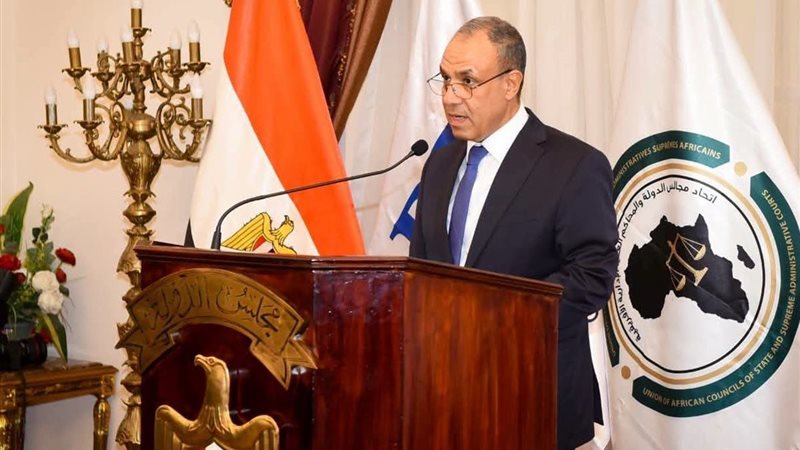 الدكتور بدر عبد العاطي وزير الخارجية