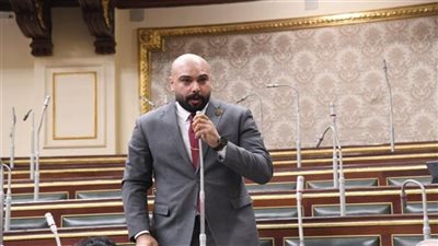 «أنا الفلاح في مصر».. نائب يستشهد بقصيدة تحت قبة البرلمان للإشادة بـ«جهاز مستقبل مصر»