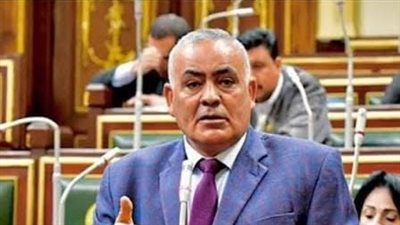 برلماني يهاجم نقيب الموسيقيين: الشرقية قلعة للرموز الوطنية والفنية