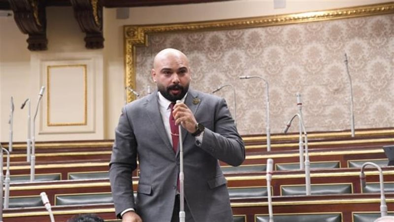  النائب إبراهيم الديب