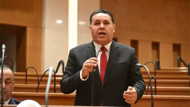 النائب عماد الغنيمي،