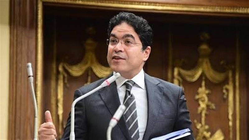 النائب ضياء الدين
