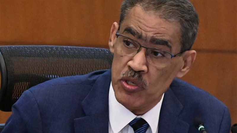 ضياء رشوان وزير الدولة