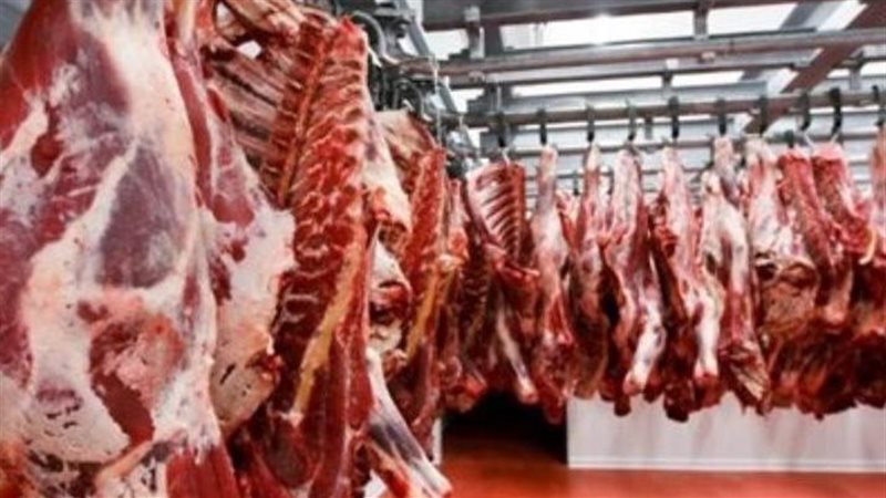 أسعار اللحوم اليوم