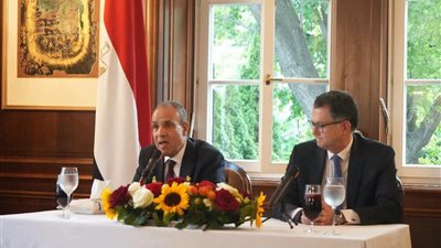 وزير الخارجية: التواصل المنتظم مع أبناء الجاليات المصرية بالخارج ركيزة أساسية في عمل الوزارة