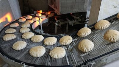 تموين البحيرة يحرر 25 محضرًا خلال حملات مكثفة على المخابز في أبو حمص