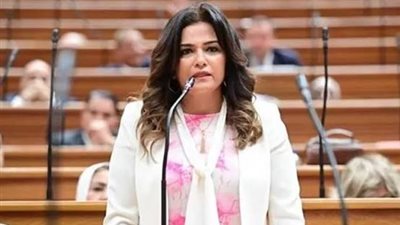 سياحة النواب: التعاون مع تنزانيا يعزز مكانة مصر كبوابة لإفريقيا