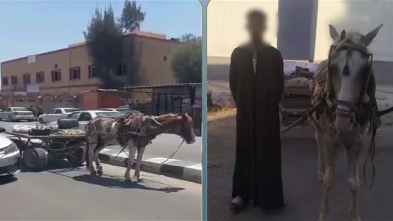 المتهم