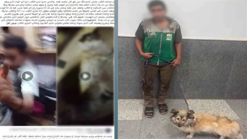 الواقعة 