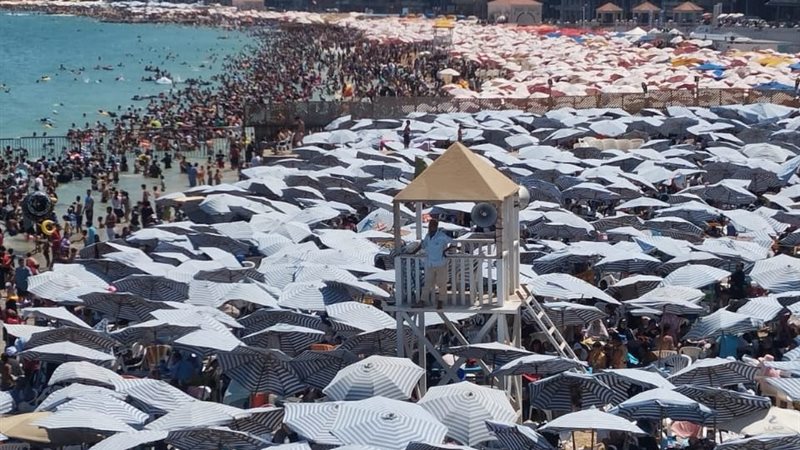شواطئ الإسكندرية