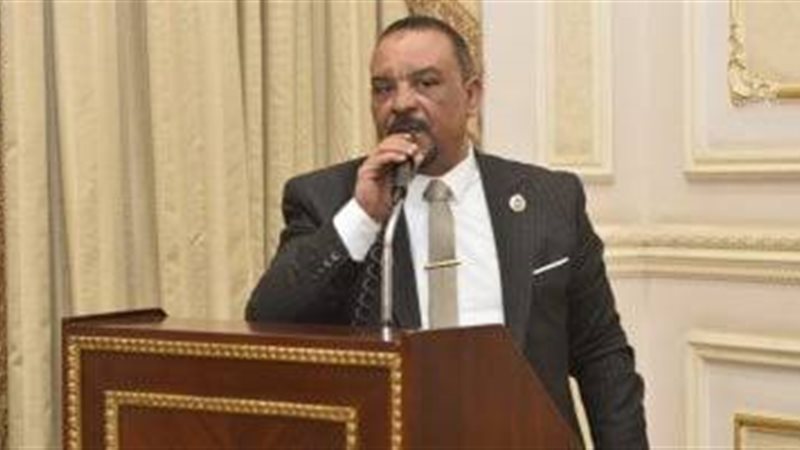 النائب أحمد حافظ،
