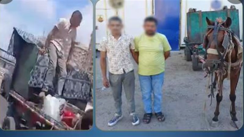 المتهمين