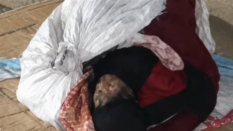 صورة الضحية 