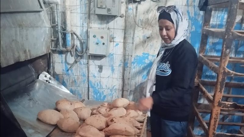 جانب من الحملات
