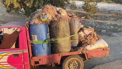 شكاوى متجددة من روائح كريهة بجزيرة أبو صالح ومطالب بحملات تفتيش ليلية