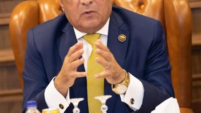 سيناء خط أحمر.. عربية النواب تهاجم استضافة صحفي إسرائيلي على شاشة مصرية