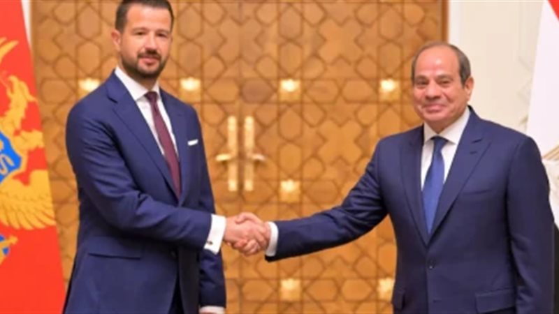 الرئيس عبد الفتاح