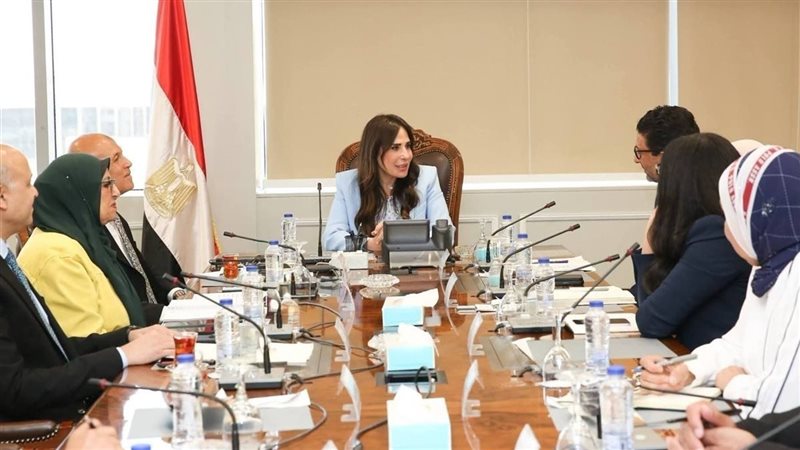 المهندسة راندة المنشاوي