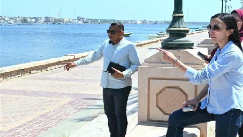 محافظ البحيرة 