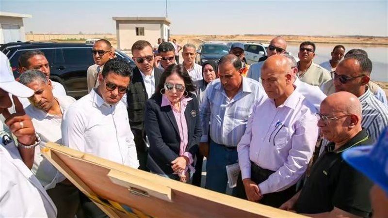 وزير الإسكان 
