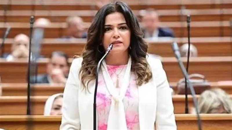 النائبة سحر طلعت