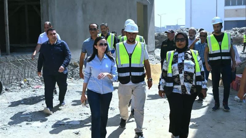 محافظ البحيرة