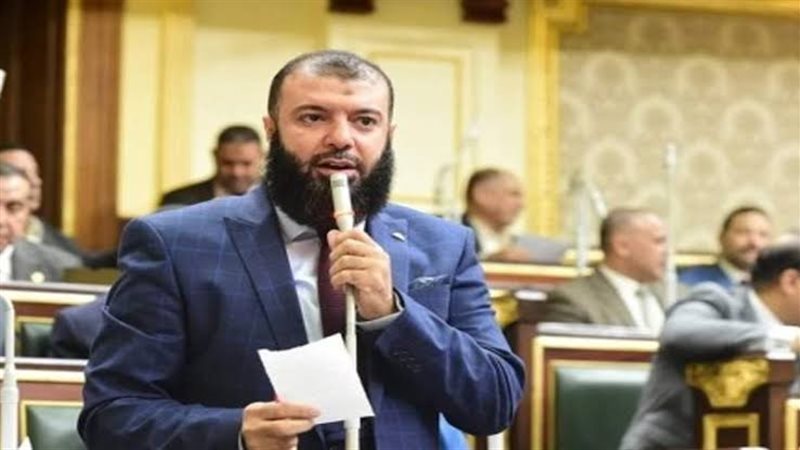 النائب أحمد خليل