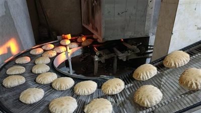 تحرير 31 محضرًا تموينيًا خلال حملات بكفر الدوار ودمنهور