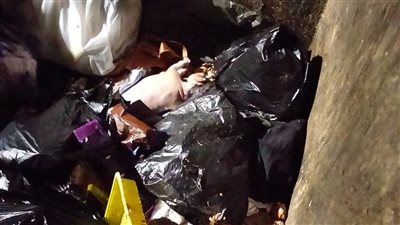 داخل صندوق قمامة.. العثور على جثمان رضيع حديث الولادة بمدينة العاشر من رمضان  
