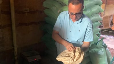 220 محضرًا في حملات مكثفة بالدقهلية.. ضبط كميات ضخمة من السلع والمواد البترولية