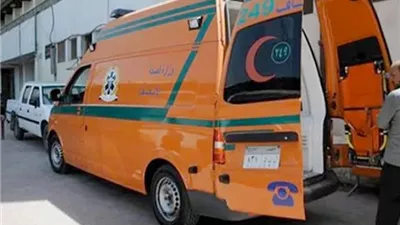 تصادم مروع بين تروسيكل وسيارة ملاكي يسفر عن وفاة شاب وإصابة 4 آخرين بميت غمر