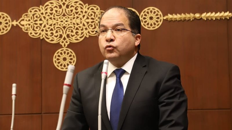 النائب عادل اللمعي