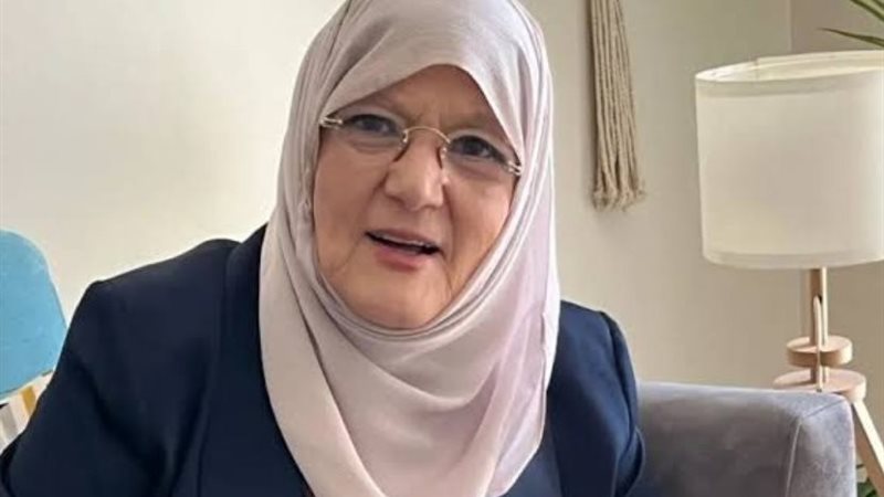 شمس البارودي