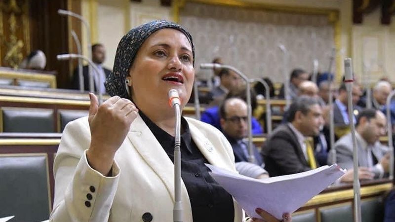  النائبة سناء السعيد