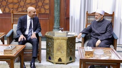 الإمام الأكبر ووزير التعليم يطلقان شراكة جديدة لتطوير التعليم.. واللغة العربية في صدارة الأولويات