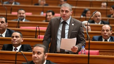 أحمد جبيلي: مصر ترسخ مكانتها كمحور استراتيجي لتجارة الغاز في شرق المتوسط