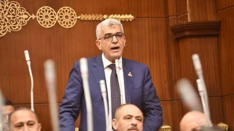 النائب محمد سلامة،