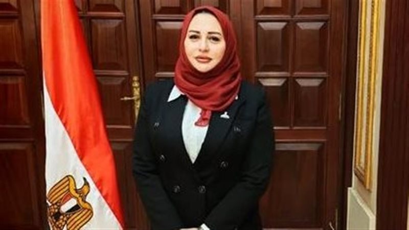 النائبة شيرين صبري