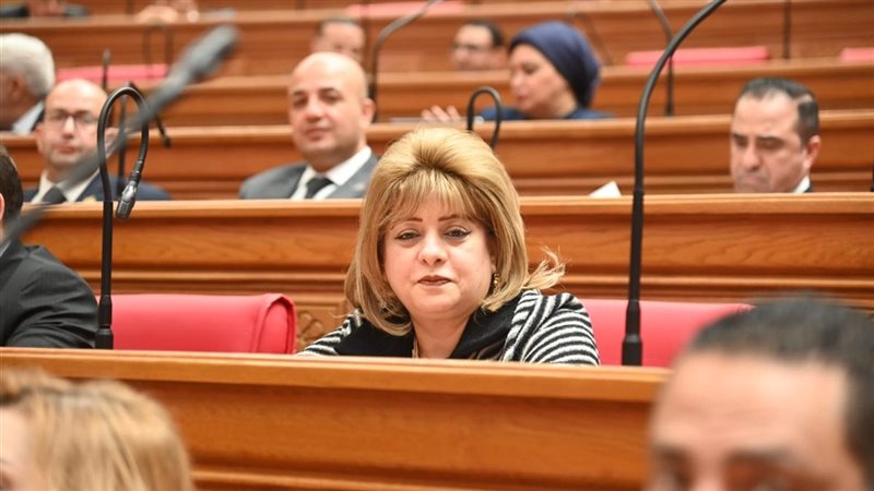 النائبة هناء أنيس
