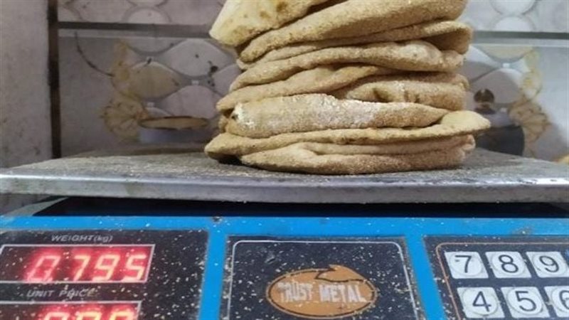حملات تفتيشية