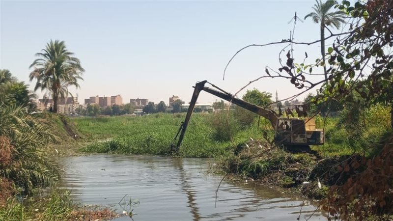 تنظيف الحشائش من