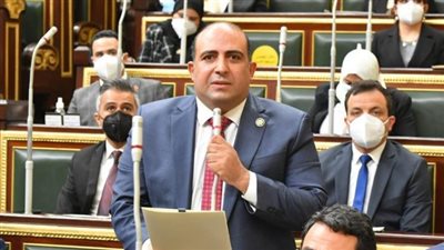 البرلمان يواجه «تجارة الوهم».. ويطالب بوقف إعلانات الدجل الطبي وحماية صحة المواطنين