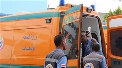 مصرع طفل وإصابة 6 آخرين في تصادم سيارة ملاكي بميكروباص على طريق شرنقاش بالدقهلية