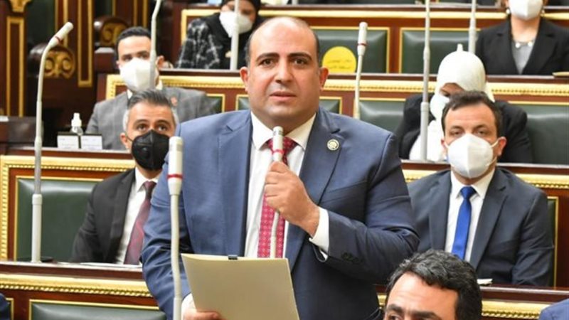 النائب الدكتور محمد
