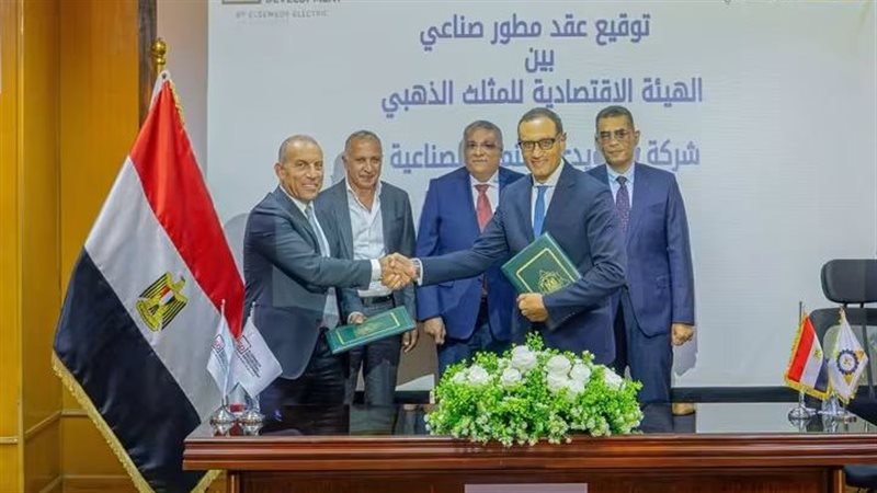 تفصيلة